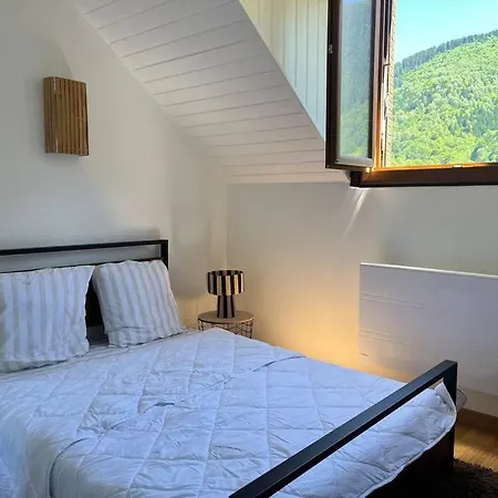 Cozy Pyrenees Mountain Retreat